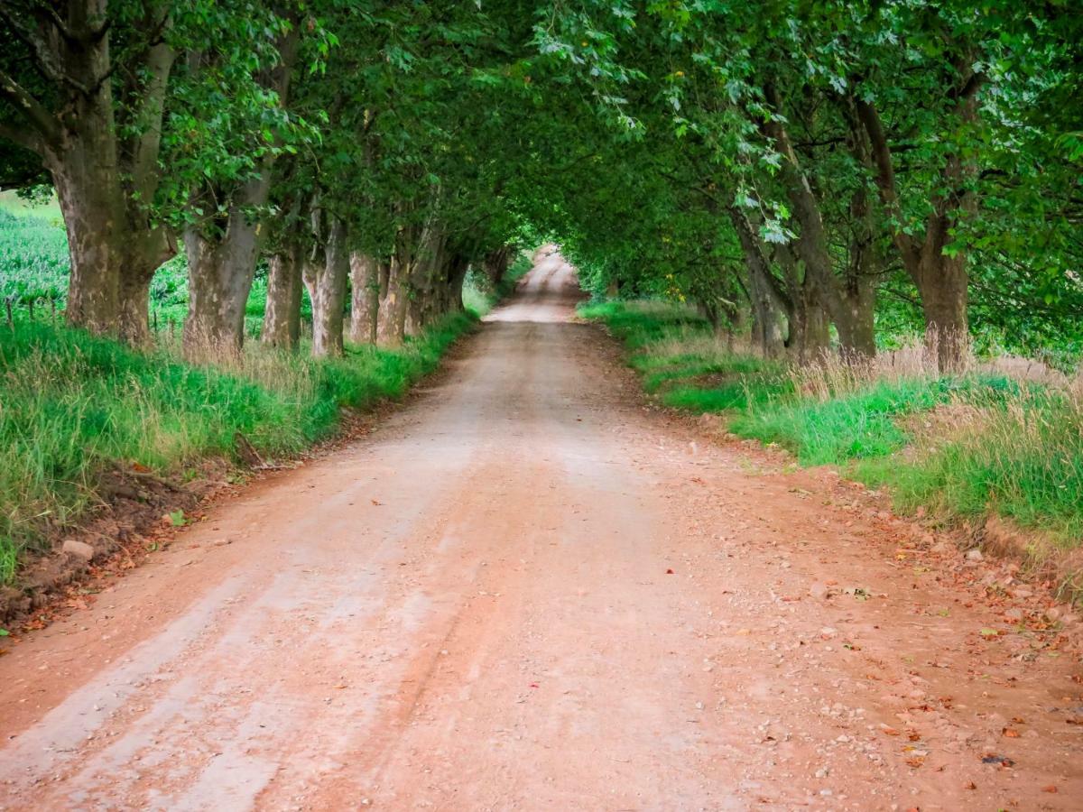 נוטינגהאם רוד Baldinnie Cottages מראה חיצוני תמונה
